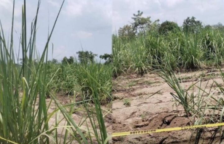 Encuentran cuerpo envuelto en sábana en carretera de Chiapas