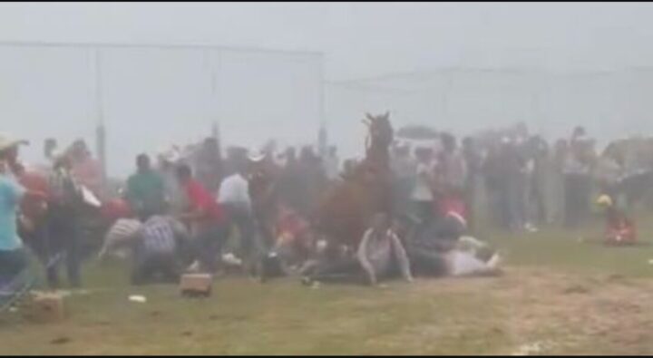 Caos en carrera de caballos: Caballo descontrolado hiere a personas en Tenochtitlán, Veracruz (VIDEO)