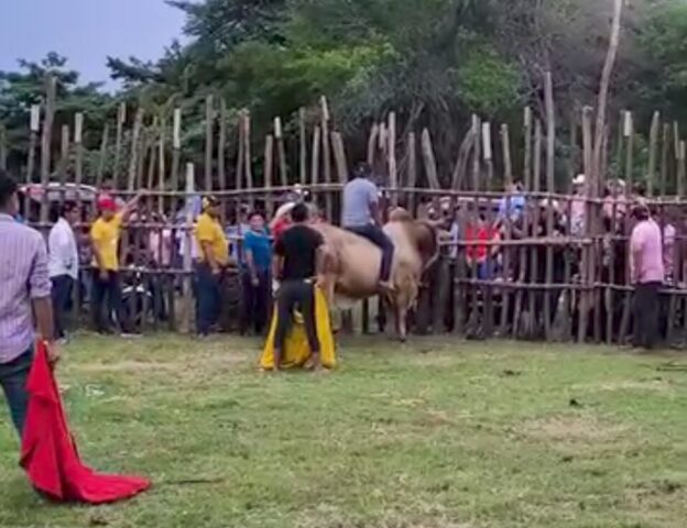 Impactante caída: jinete es derribado y pisoteado por toro en Tabasco (VIDEO)