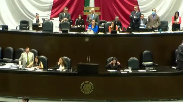 Avanza en la Cámara de Diputados la desaparición de siete órganos autónomos