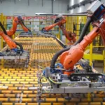 Robot mata a trabajador al confundirlo con caja