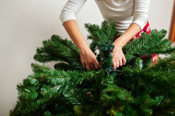 ¿Cuándo se quita el árbol de Navidad?