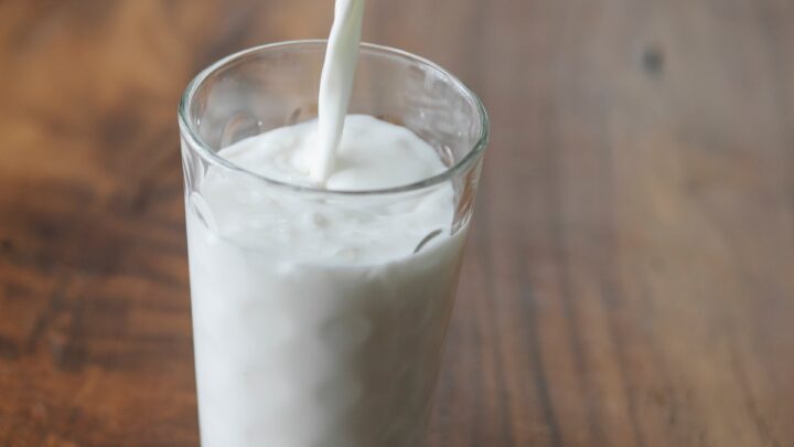 ¿Qué pasa si bebes mucha leche? Harvard alerta sobre los riesgos