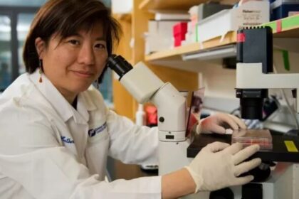 Esperanza en la lucha contra el cáncer: las vacunas personalizadas de la Dra. Catherine Wu muestran resultados prometedores