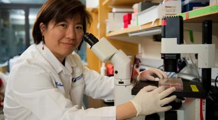 Esperanza en la lucha contra el cáncer: las vacunas personalizadas de la Dra. Catherine Wu muestran resultados prometedores