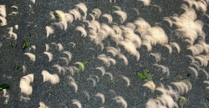 ¿Por qué el eclipse solar proyecta sombras con forma de luna?
