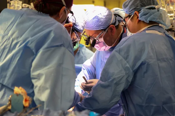 Hito médico: Paciente trasplantado con riñón de cerdo recibe el alta