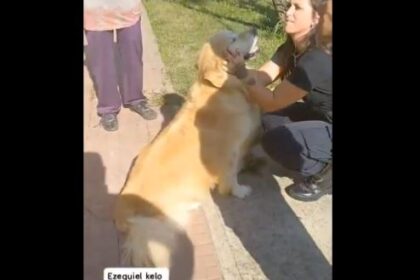Mujer llevó a su perro al carnicero con la intención de comerlo