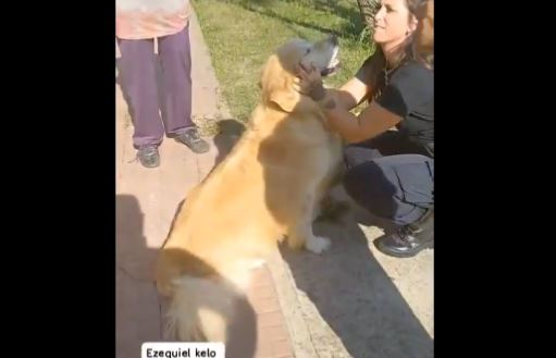 Mujer llevó a su perro al carnicero con la intención de comerlo