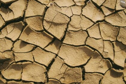 Sequía en México: "Día Cero" podría ser una realidad en estas zonas de México, según experto de la UNAM