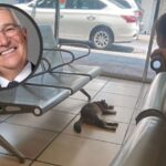 Gato busca refugio por el calor en tienda Salinas Pliego, ¡y su respuesta se hace viral!