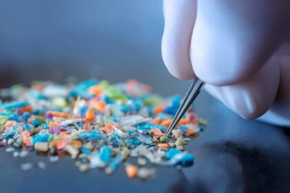 UNAM revela la cantidad de microplásticos que consumes al año sin darte cuenta