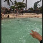 Inesperado ojo de agua brota en Playa del Carmen: "Es increíble" (VIDEO)