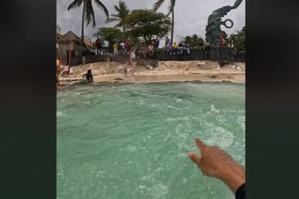Inesperado ojo de agua brota en Playa del Carmen: "Es increíble" (VIDEO)