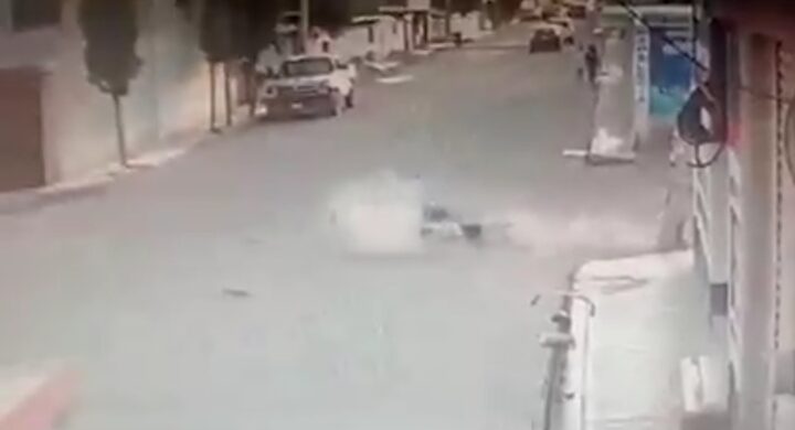Perros corriendo a gran velocidad derriban a dos mujeres: VIDEO se vuelve viral