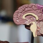 Cáncer cerebral: Esta es la señal temprana que la mayoría ignora, según expertos