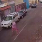 Indignación en Querétaro: Despedido por lanzar a un gatito contra cables eléctricos (VIDEO)