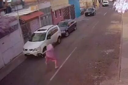 Indignación en Querétaro: Despedido por lanzar a un gatito contra cables eléctricos (VIDEO)