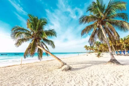 Cofepris: Estas son las playas mexicanas más limpias y seguras para tus vacaciones de verano