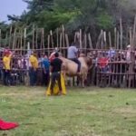 Impactante caída: jinete es derribado y pisoteado por toro en Tabasco (VIDEO)