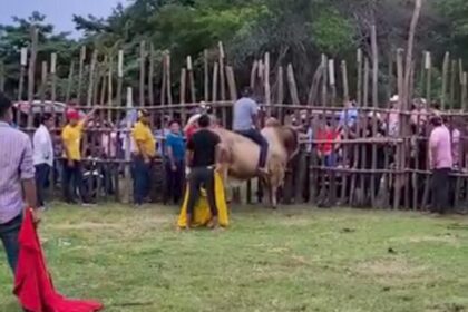 Impactante caída: jinete es derribado y pisoteado por toro en Tabasco (VIDEO)
