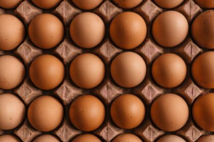 Estas son las marcas de huevo más engañosas según la Profeco