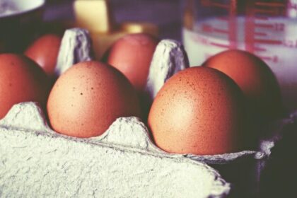 La OMS revela cuántos huevos se recomienda comer a la semana