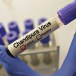 Virus Chandipura: Lo que saber sobre el brote que ha causado muertes y alarma en la India