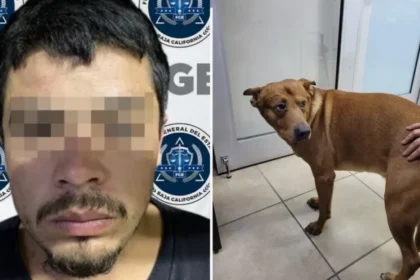 Lo detienen tras intentar asfixiar a su perro por que "lo trataban mejor que a él"