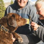 Estudio revela cómo tener un perro puede reducir la ansiedad y la depresión en mujeres