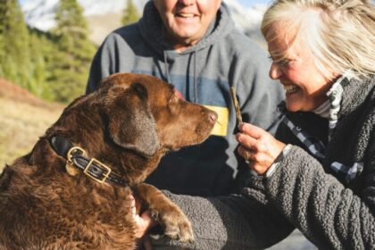 Estudio revela cómo tener un perro puede reducir la ansiedad y la depresión en mujeres