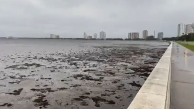 ¿Por qué los huracanes hacen que el mar se aleje de la costa?